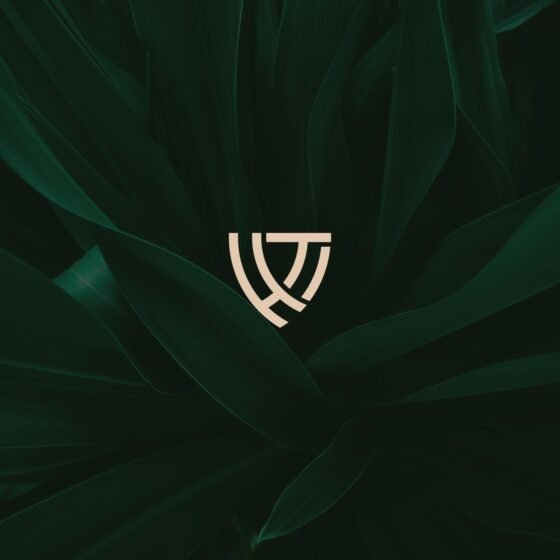 Impeka - Premium WordPress Multipurpose theme by Greatives
